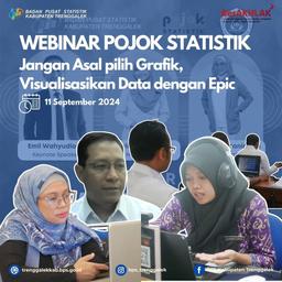 Statistics Corner Webinar: Data Visualization