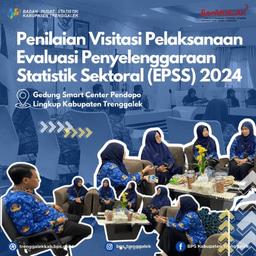 Visitation Assessment of Evaluation of the Implementation of Sectoral Statistics (EPSS) 2024