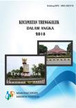 Trenggalek Subdistrict in Figures 2018