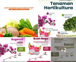 Suka Makan Buah dan Sayur?