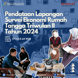 Pendataan Lapangan Survei Ekonomi Rumah Tangga Triwulan II Tahun 2024