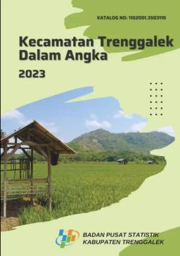 Kecamatan Trenggalek Dalam Angka 2023