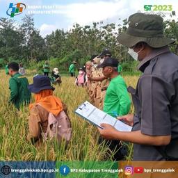 Pajale Productivity (Rice, Corn and Soybean) competition at farmer group level (poktan) 