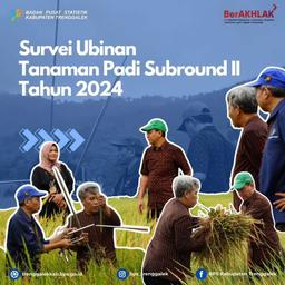 Cropping Survey of Rice Crops Subround II Year 2024